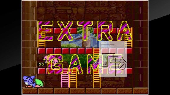 switch《妖精物语 Arcade Archives Rod Land》英文版nsz/xci整合版下载【1.0.1补丁】_3