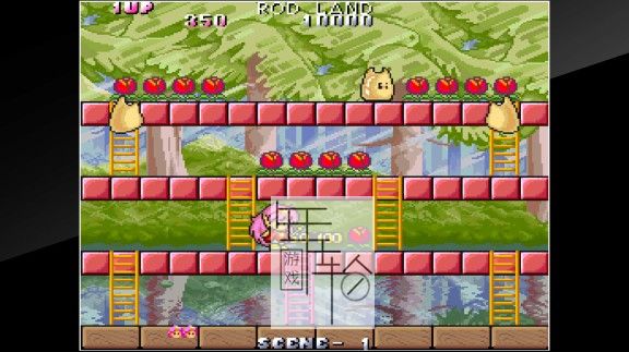 switch《妖精物语 Arcade Archives Rod Land》英文版nsz/xci整合版下载【1.0.1补丁】_0