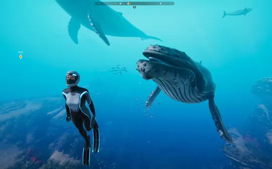 深海超越 Beyond Blue PC免安装中文版下载（整合拍照模式）