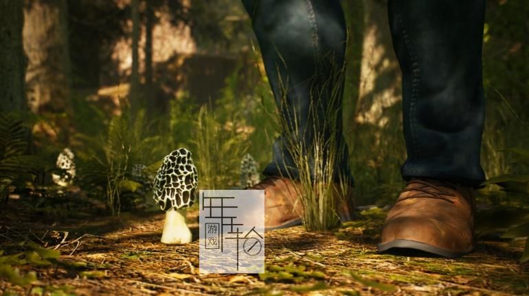 【PC】《羊肚菌：狩猎游戏Morels: The Hunt》免安装绿色中文版[6.4G]下载_0