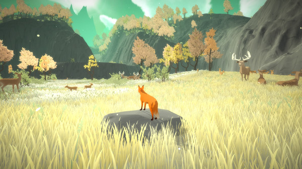 【6.72/5.05降级】PS4《第一棵树 The First Tree》中文版pkg下载（v1.02）_1