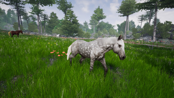 骑马豪华版2 Horse Riding Deluxe 2 PC英文版下载_0