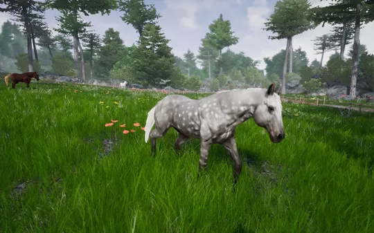 骑马豪华版2 Horse Riding Deluxe 2 PC英文版下载