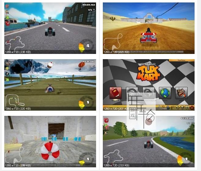 【玩家自制】switch《开源卡丁车游戏 SuperTuxKart》英文版nsp下载_0