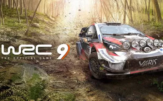 switch《世界拉力锦标赛9 WRC 9 The Official Game》中文版nsp/xci整合版下载【1.1.0补丁+4DLC】