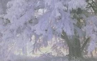  碎片拼图4:再见亲爱的冬天 Puzzle Pieces 4 Farewell Dear Winter PC英文版下载