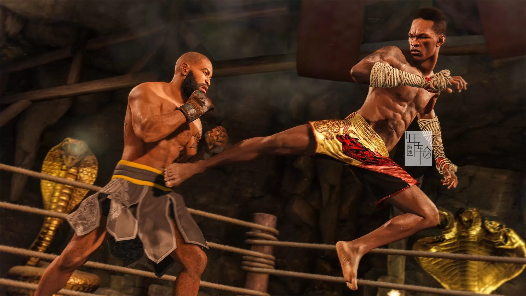 【5.05】PS4《UFC 终极格斗冠军赛4 EA Sports UFC 4》中文版PKG下载V28_0