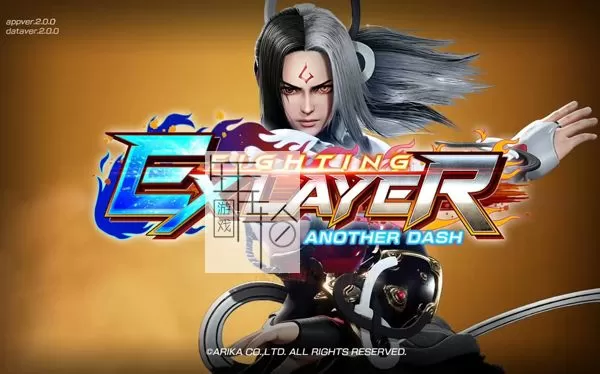 switch《格斗领域EX：Another Dash FIGHTING EX LAYER ANOTHER DASH》中文版nsz下载【含2.3.0补丁+1DLC】_0