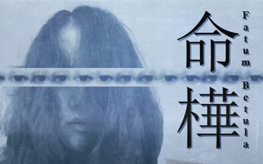 【原版+魔改9.2】switch《命桦 Fatum Betula》英文版nsp/xci下载