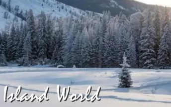 海岛世界 Island World PC英文版下载