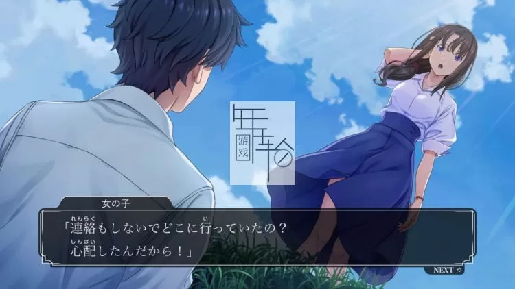 switch《侦探俱乐部系列消失的继承人+站在身后的少女》中文版nsp/xci下载_1