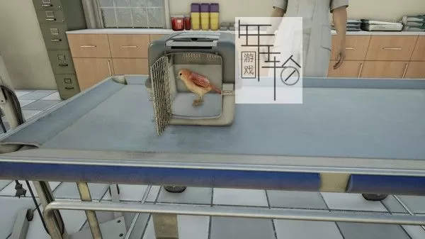 switch《兽医 Animal Doctor》英文版NSP+XCI整合版下载【含1.02补丁】_3
