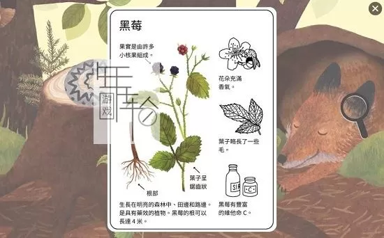 switch《小老鼠的百科全书 Little Mouses Encyclopedia》中文版nsp/xci下载【含1.0.3补丁+3DLC】_1