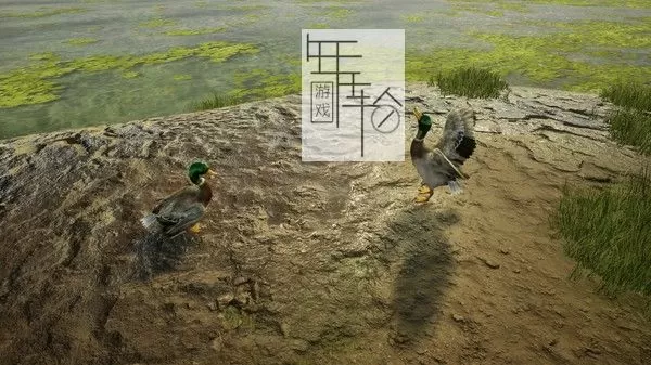 switch《兽医 Animal Doctor》英文版NSP+XCI整合版下载【含1.02补丁】_1