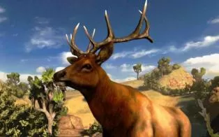 【PS3】坎贝拉危险狩猎(Cabela's Hunting Expeditions) 美版下载