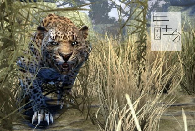 【PS3】 坎贝拉危险狩猎2013 美版下载_0