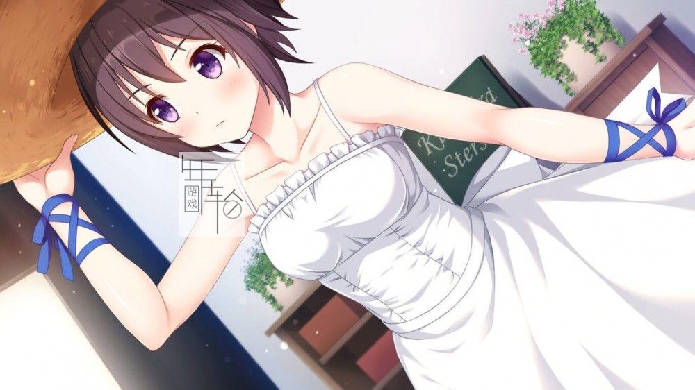 switch《爱的闪耀偶像企划 Kirakira stars idol project Nagisa》中文版nsp/xci下载_3