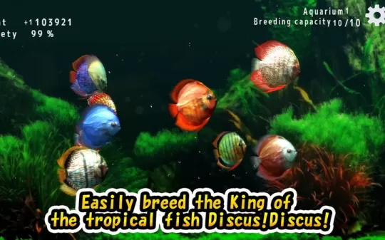 Xbox360《热带鱼水族馆 Discus museum》日文版下载