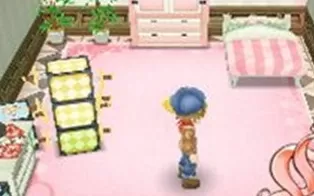 3DS《牧场物语 起源的大地》中文版3ds/cia下载