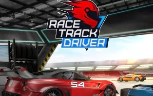 switch《赛道车手 Race Track Driver》英文版nsp/xci下载