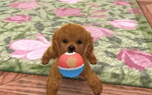 3DS《任天猫狗 玩具贵宾犬与新伙伴》中文版cia下载