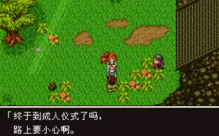 3DS《勇者斗恶龙11》中文版cci下载