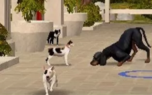 3DS《模拟人生3-宠物 Sims 3 – Pets, The》美版3ds下载