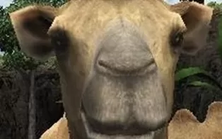 3DS《动物园胜地3D Zoo Resort 3D》欧版3ds下载