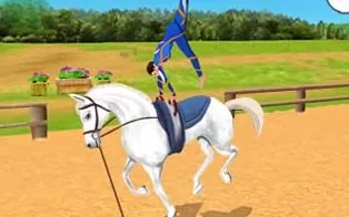 3DS《育马 Horses 3D》美版3ds下载