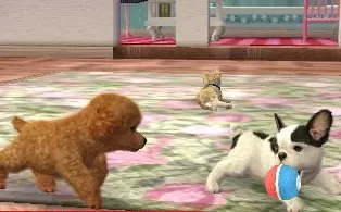 3DS《任天狗+猫-金毛犬与新朋友 Nintendogs + Cats – Golden Retriever & New Friends》美版3ds下载