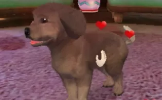 3DS《娇蛮宠物 宠物度假村3D Pets Paradise Resort 3D》欧版3ds下载