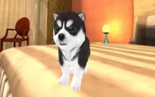 3DS《小狗 3D Puppies 3D》美版3ds下载