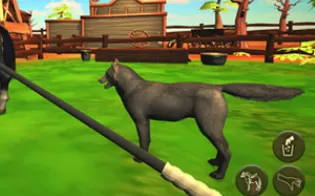 3DS《我的小马驹 3D My Foal 3D》欧版3ds下载