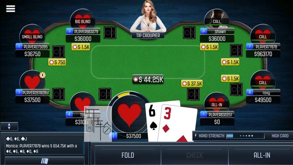 switch《扑克冠军：德州扑克 Poker Champion: Texas Hold'em》英文版nsp/xci下载_4
