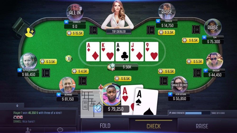 switch《扑克冠军：德州扑克 Poker Champion: Texas Hold'em》英文版nsp/xci下载_3