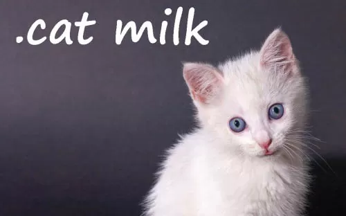 switch《.cat Milk》英文版nsp/xci下载