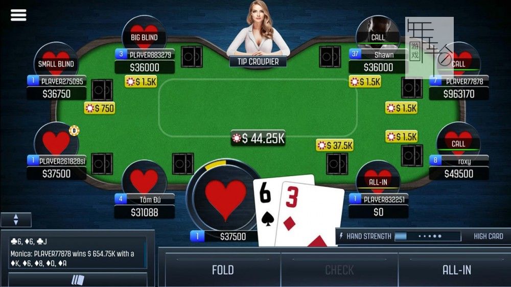 switch《扑克冠军：德州扑克 Poker Champion: Texas Hold'em》英文版nsp/xci下载_0