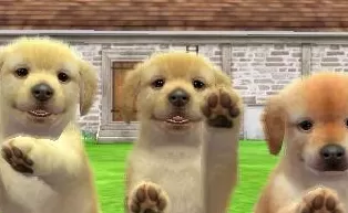 3DS《任天猫狗 柴犬与新伙伴 Nintendogs + Cats – Shiba and New Friends》港台版3ds下载