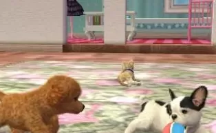 3DS《任天猫狗 法国斗牛犬与新伙伴 Nintendogs + Cats – French Bulldog & New Friends》港台版3ds下载
