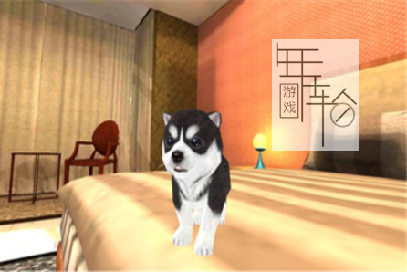 3DS《小狗 3D Puppies World 3D》欧版3ds下载_1