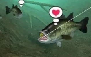 3DS《真实3D钓鱼 Real 3D Bass Fishing – Fish On》日版3ds下载