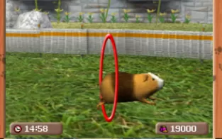 3DS《我的宠物小狗3D My Pet Puppy 3D》美版3ds下载