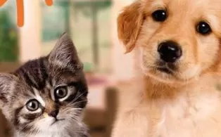 3DS《我爱我的宠物 I Love my Pets》欧版3ds下载