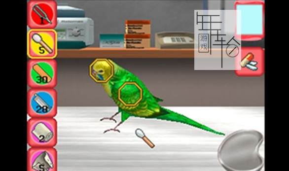 3DS《我的兽医练习3D My Vet Practice 3D》欧版3ds下载_0