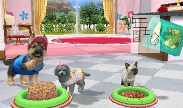 3DS《与可爱的小狗一起玩 街篇 Oshare de Kawaii! Koinu to Asobo! Machi-Hen》日版3ds下载_2