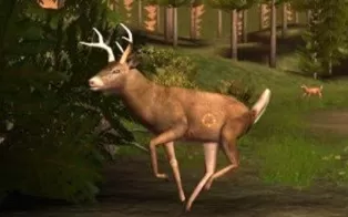 3DS《猎鹿传奇 3D Deer Drive Legends》美版3ds下载