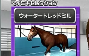 3DS《G1赛马 G1 Grand Prix》日版3ds下载