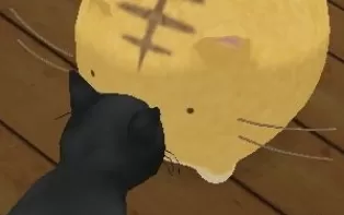 3DS《嘟嘟猫观察日记 Poyo Poyo Kansatsu Nikki》日版3ds下载