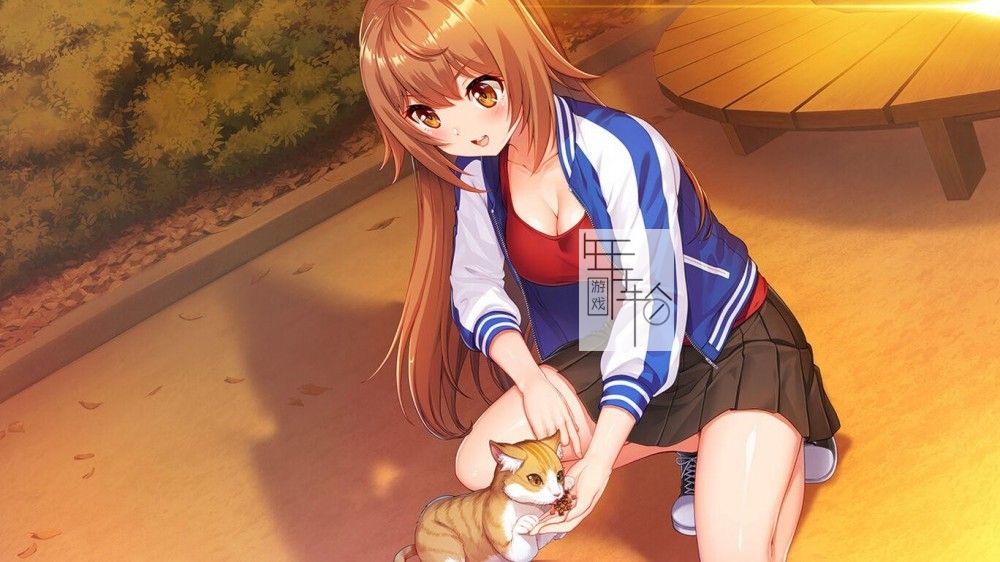 switch《偶像岁月 IdolDays》中文版nsp下载_3