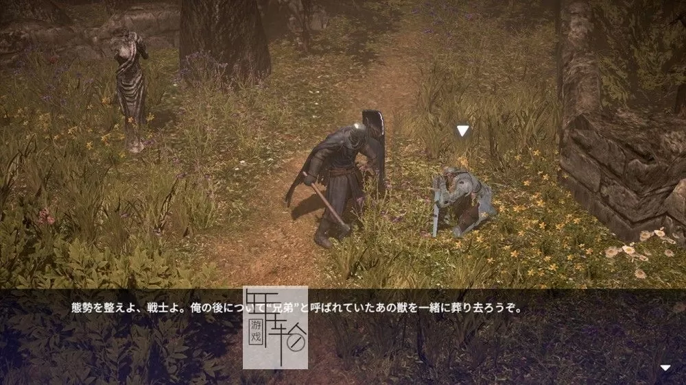 switch《憎恨之心：亡灵 ANIMUS Revenant》中文版nsp/xci整合版下载【含1.0.5补丁】_2